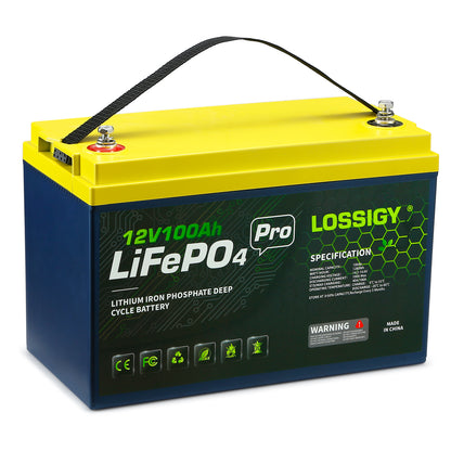 12V100AH-Rg LiFePO4 Lithium Battery