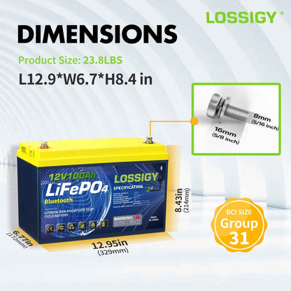 LOSSIGY 12V100AH-Bt LiFePO4 Lithium Battery, Group 31 Deep Cycle Battery