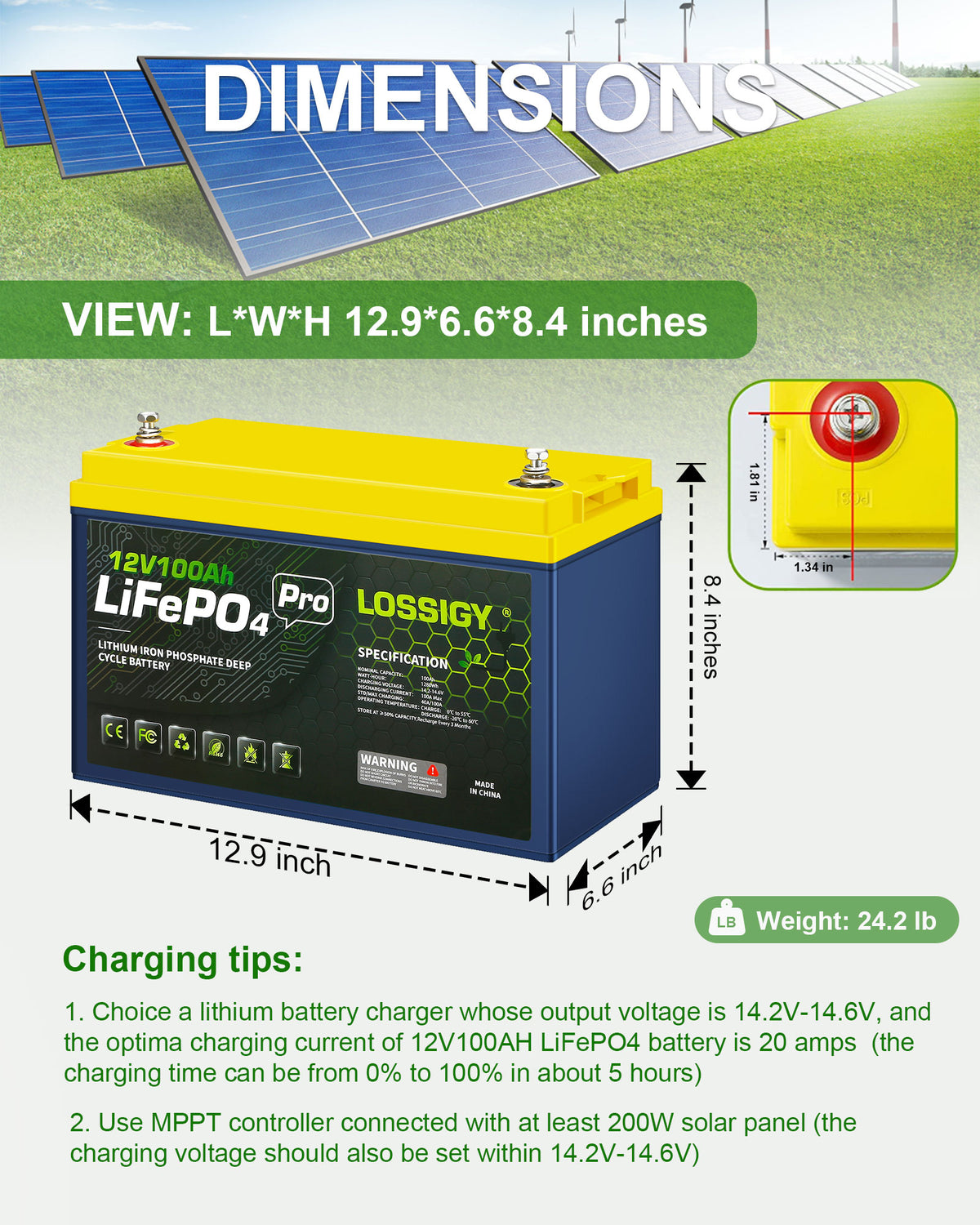 12V100AH-Rg LiFePO4 Lithium Battery