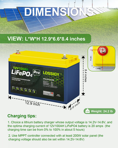 12V100AH-Rg LiFePO4 Lithium Battery