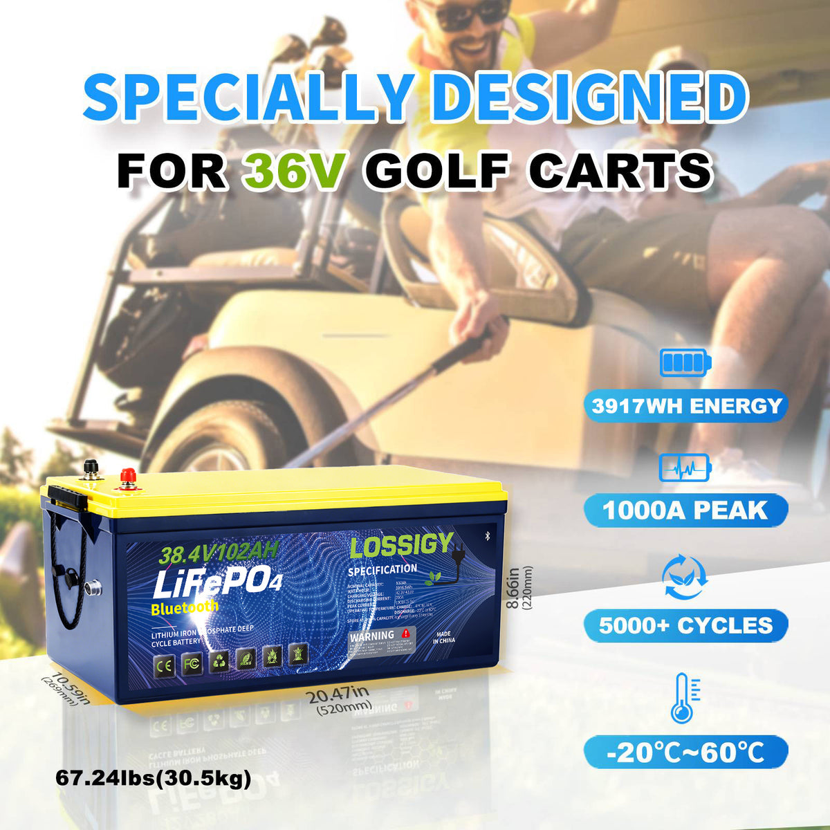 LOSSIGY - 36V102AH Lithium Battery Golf Cart Conversion Kit with 25A Charger