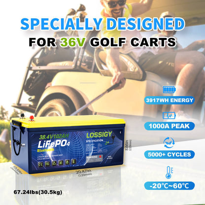 LOSSIGY - 36V102AH Lithium Battery Golf Cart Conversion Kit with 25A Charger