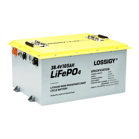LOSSIGY 36V105AH  Lithium Battery