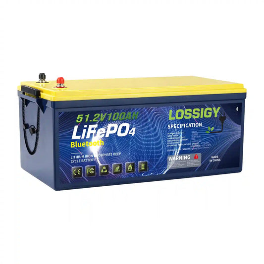 48V100AH Lithium Battery