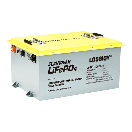 LOSSIGY 48V105AH  LiFePO4 Battery